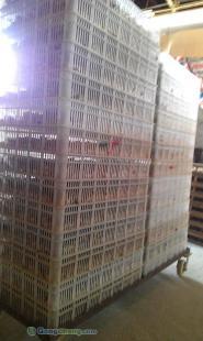 供應河南鵪鶉苗批發 南昌林友鵪鶉養殖場供應_農副產品_世界工廠網中國產品信息庫